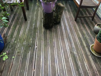 Clean Your Deck, Concrete, or Roof with Algae Cleaning Services!