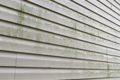 Clean Your Siding with Algae Cleaning Services!