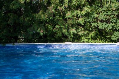 Prevent Algae Blooms