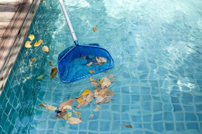Remove Leaves, Dirt, and Bugs!